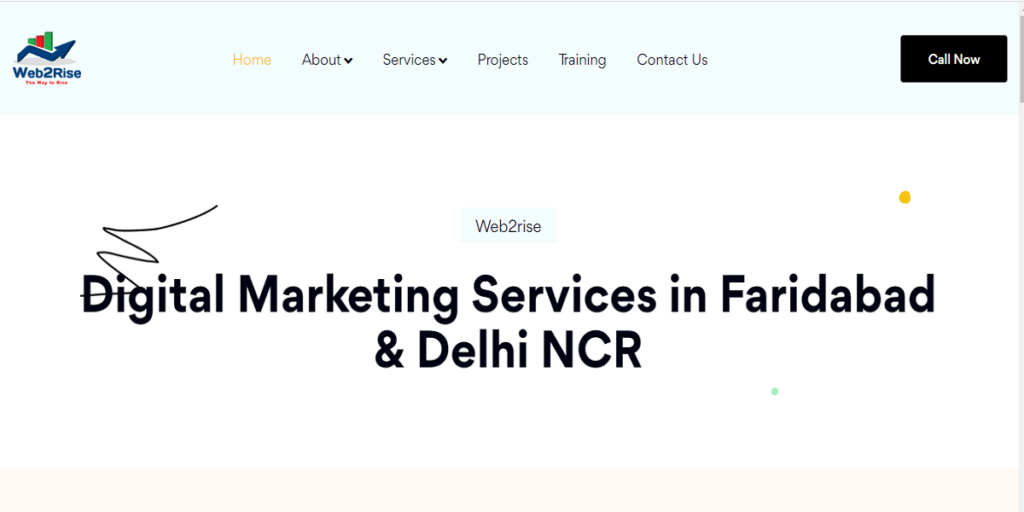 Web2Rise Best Digital Marketing Agencies In Faridabad