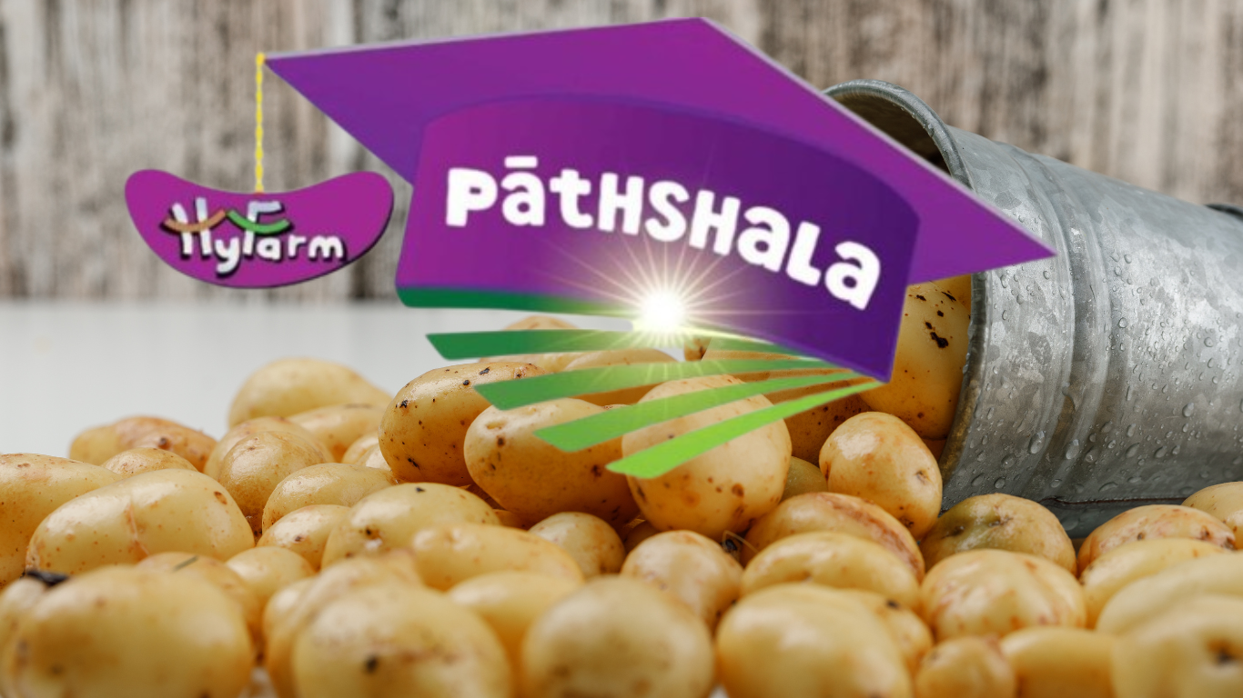 How HyFun Foods Leverages AI & IoT to Transform Potato Processing for Frozen Snacks